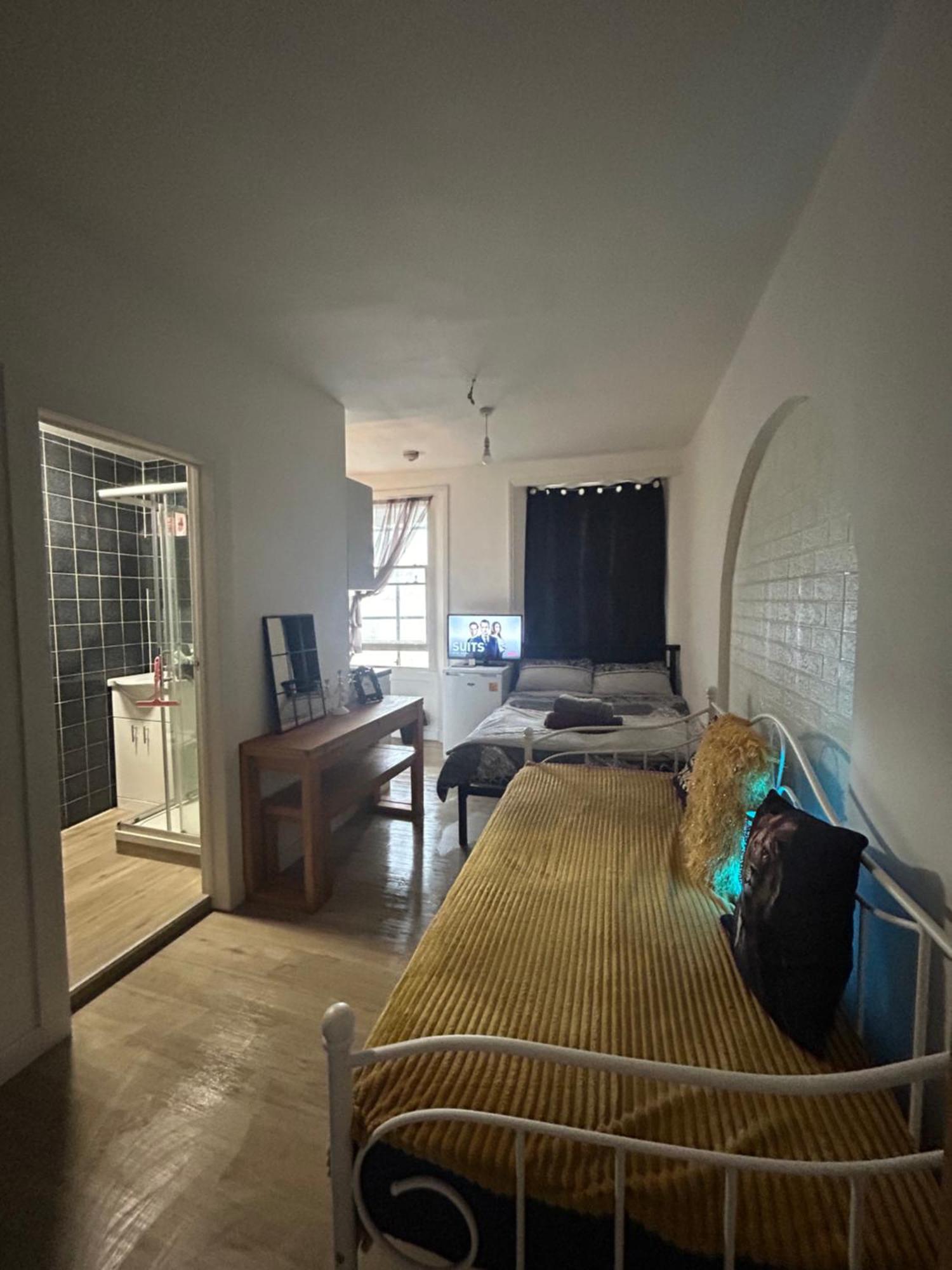 Spacious Studio Flat In 伦敦 外观 照片